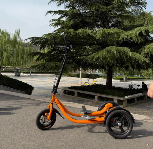 FlexView Step Bike